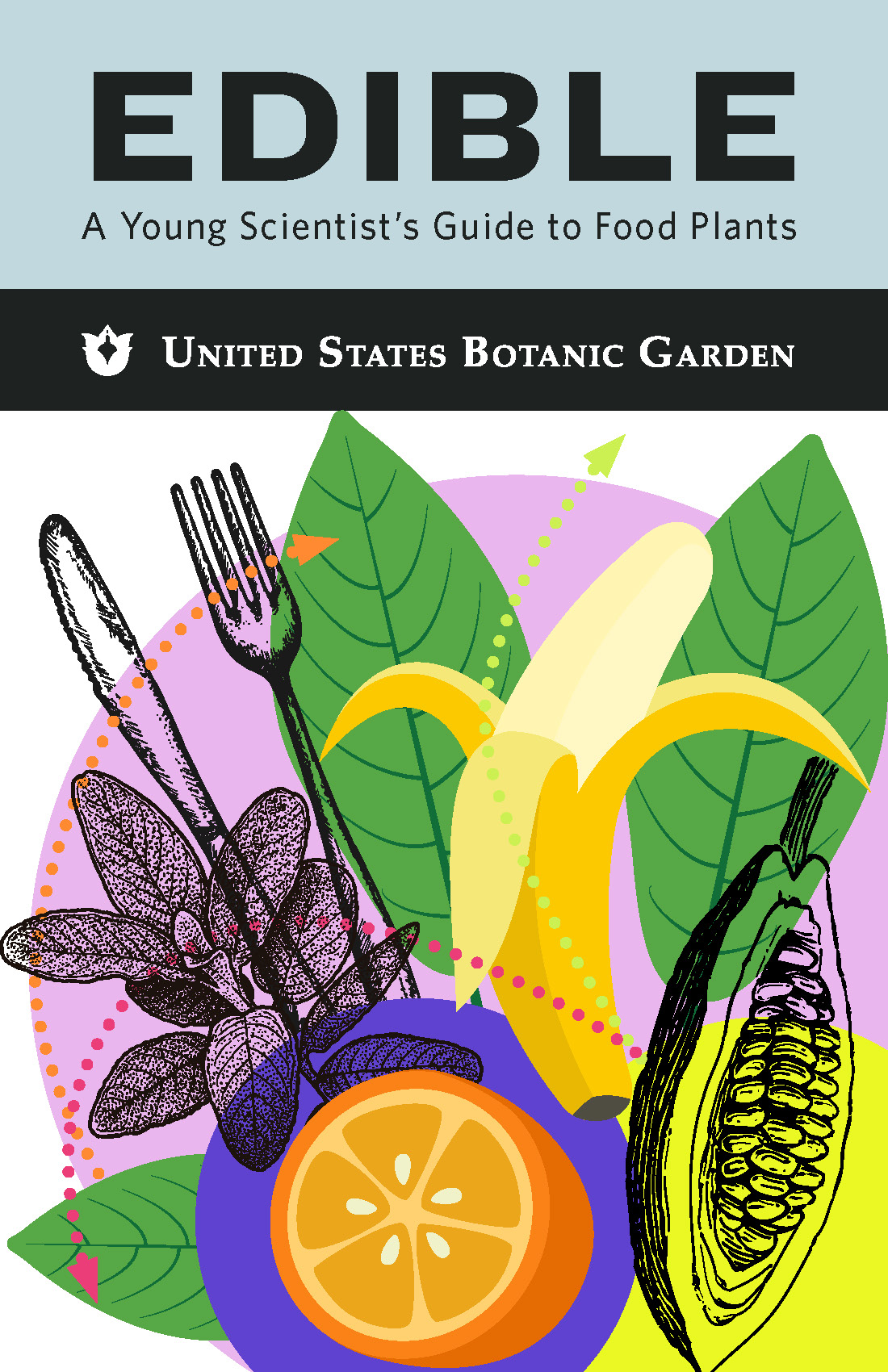 Cover of Plants and Food