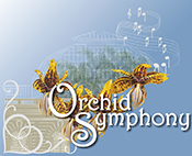 Orchid Symphony