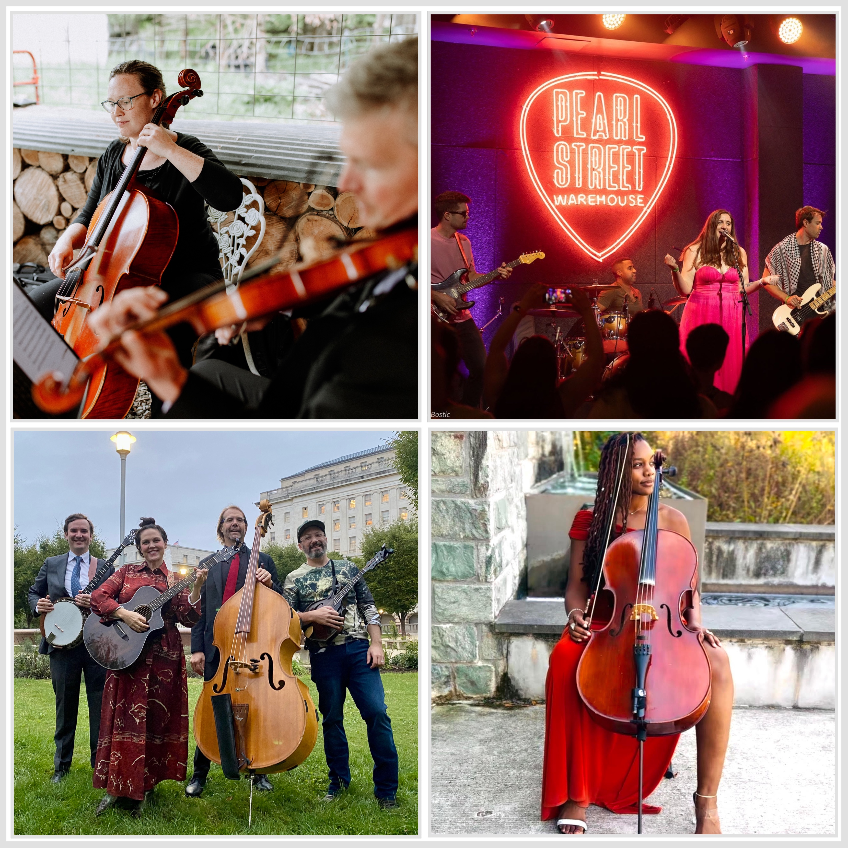 Collage of four images of people playing music on stringed instruments