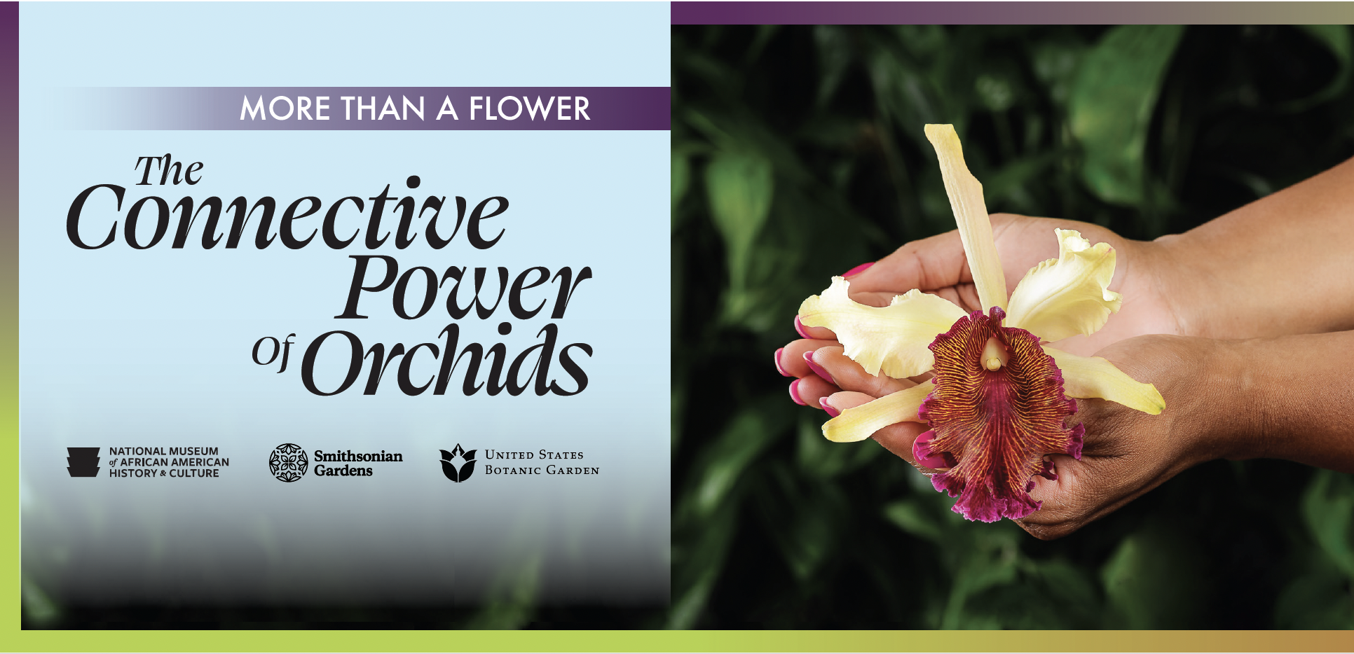 Text says More Than A Flower The Connective Power of Orchids with the logos of the US Botanic Garden, Smithsonian Gardens, and the National Museum of African American History and Culture
