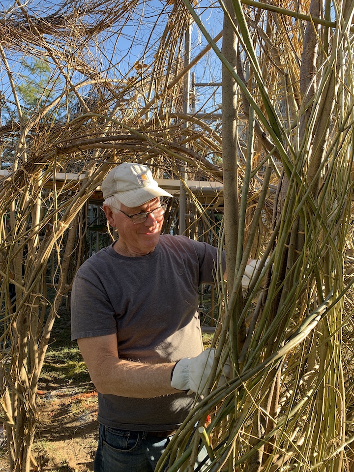 Artist Patrick Dougherty weaves a sapling into a sculpture