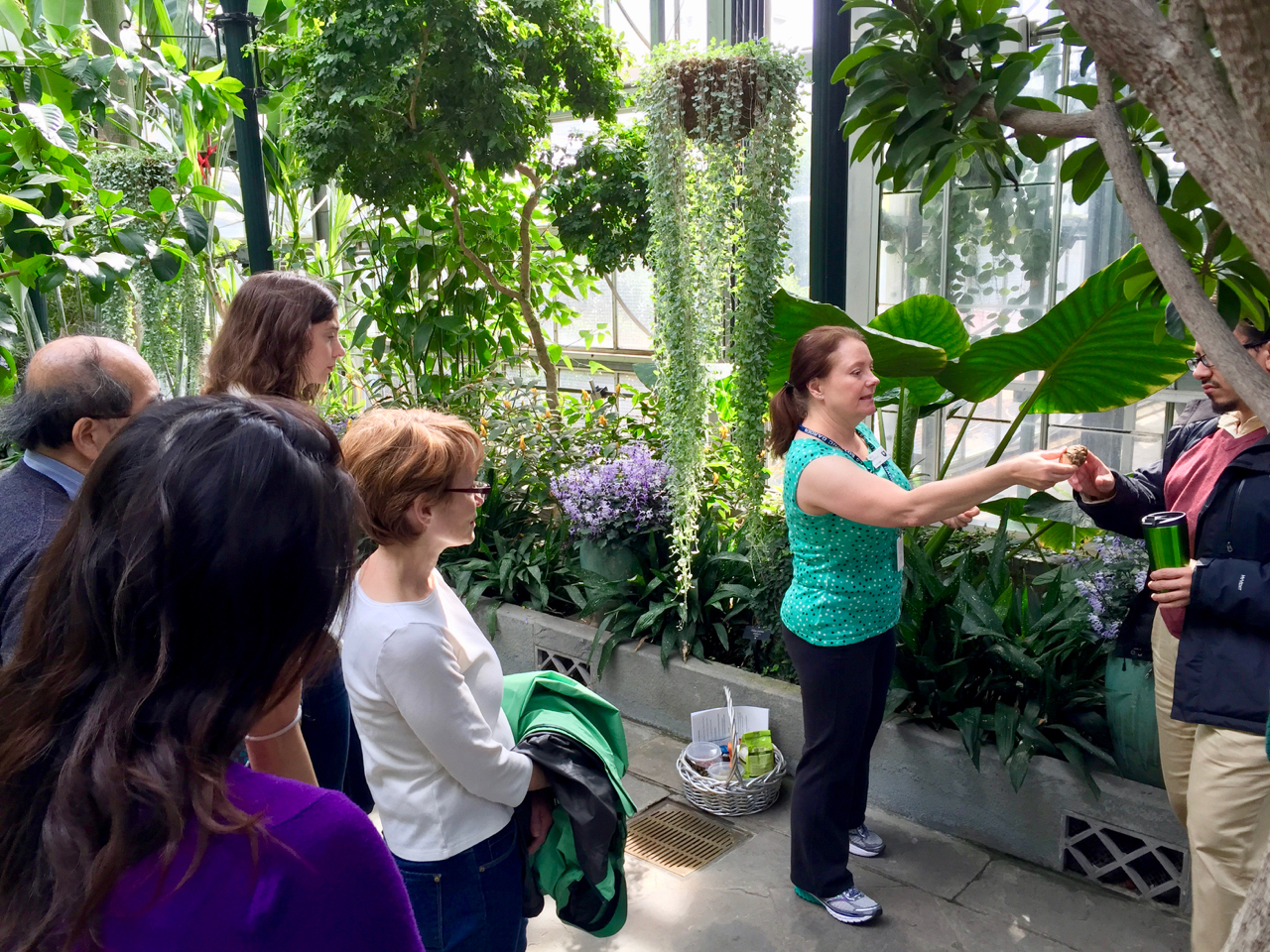 A female volunteer docent leads a group of give adults on a tour of the Conservatory