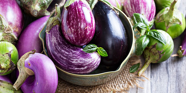 Purple eggplants