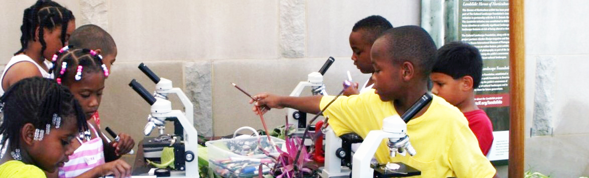 children using microscopes