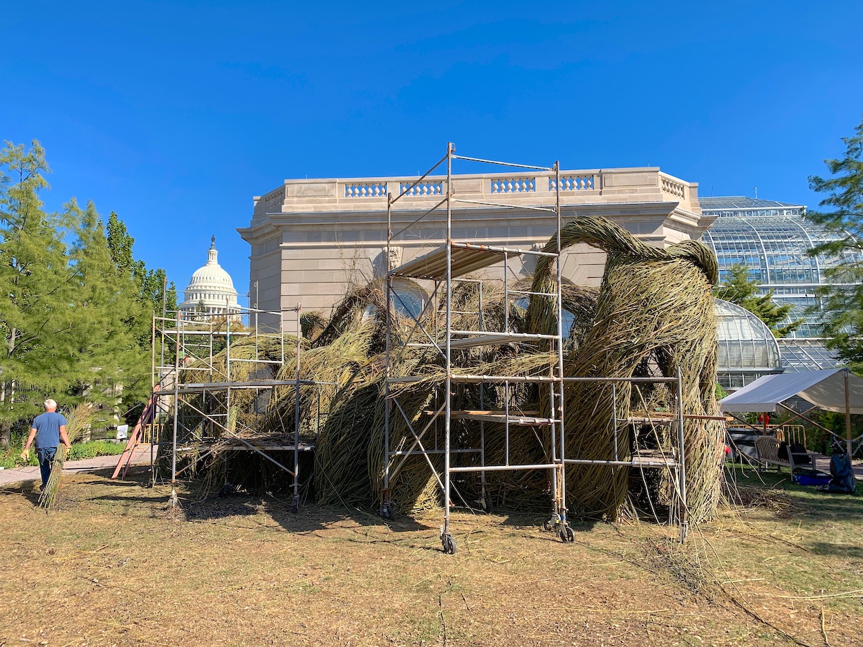 Patrick Dougherty stickwork sculpture in progress