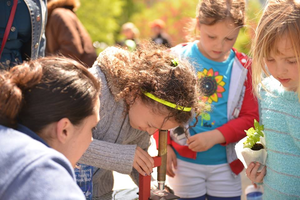 A girl uses a microscope to investigate flower parts