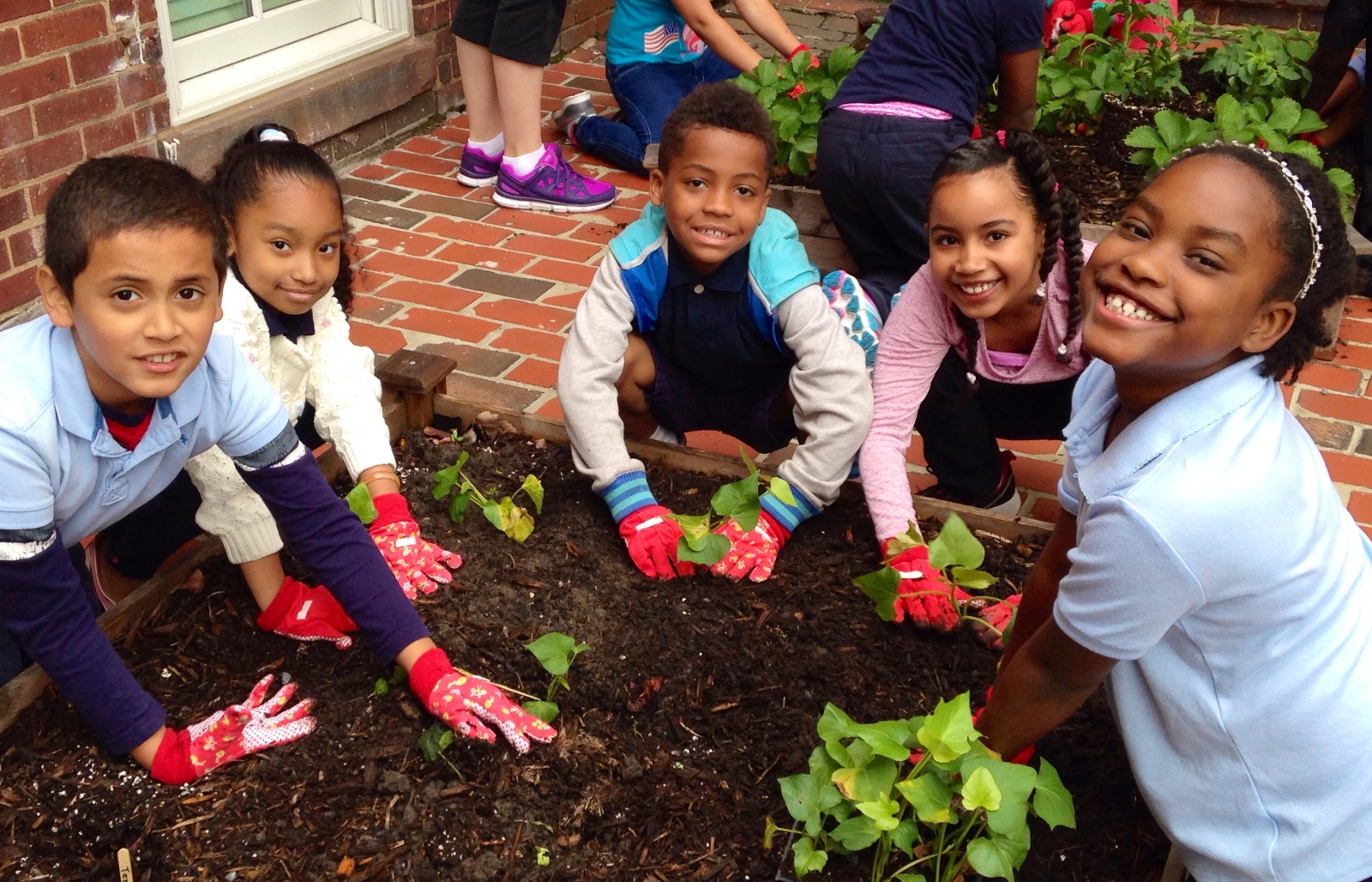 Dig-in to school gardens on June 17 with our School Garden