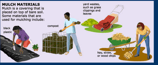 mulch protects soil