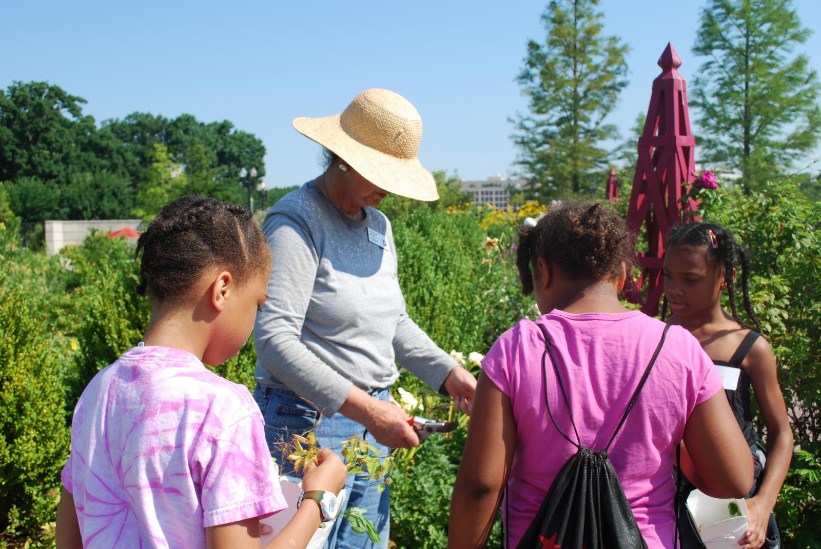 Students learn about plants in the outdoor gardens