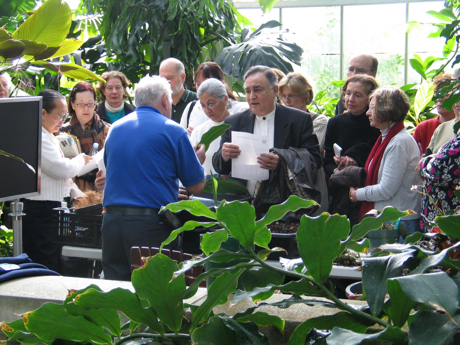 A group of adults repot orchids
