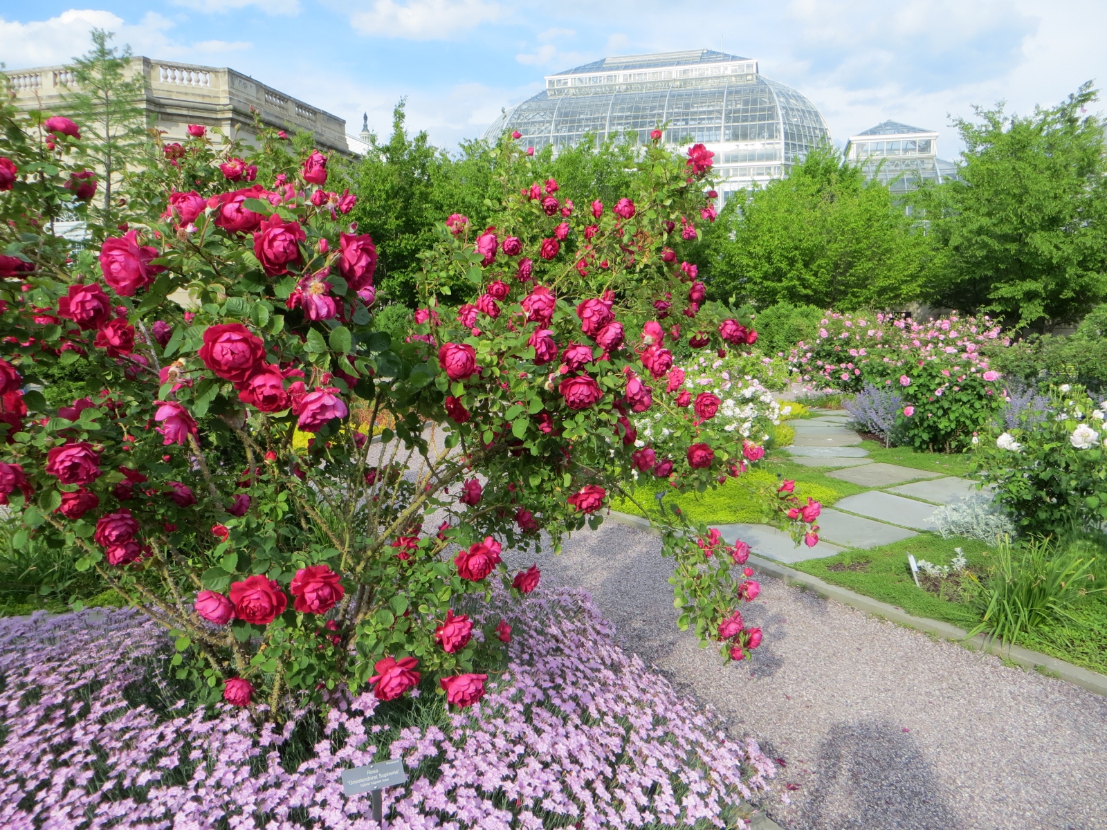 Rose Garden in the National Garden at the United States Botanic Garden