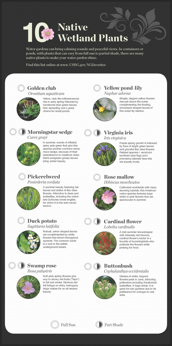 Native Plant Recommendations United States Botanic Garden