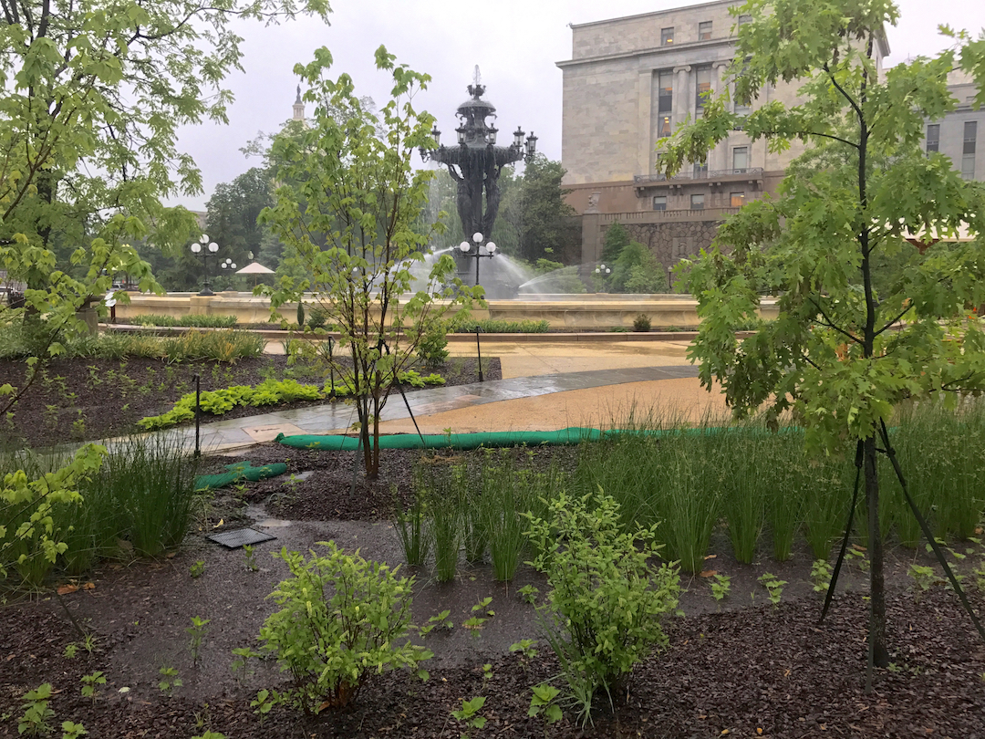 rain garden in barthooldi park shown capturing rain