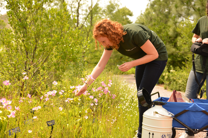 Sampling - In this file photo, young and aspiring scientists assist career scientists in sampling plants at the U.S. Botanic Garden for the Global Genome Initiative