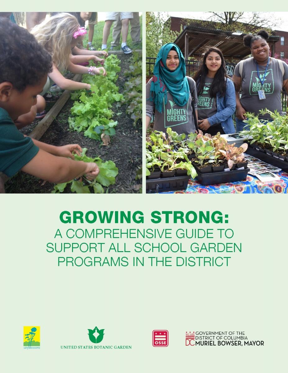 Dig-in to school gardens on June 17 with our School Garden