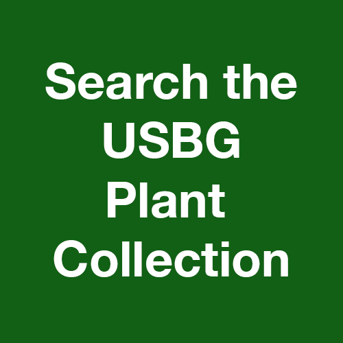 Search the Collection | United States Botanic Garden