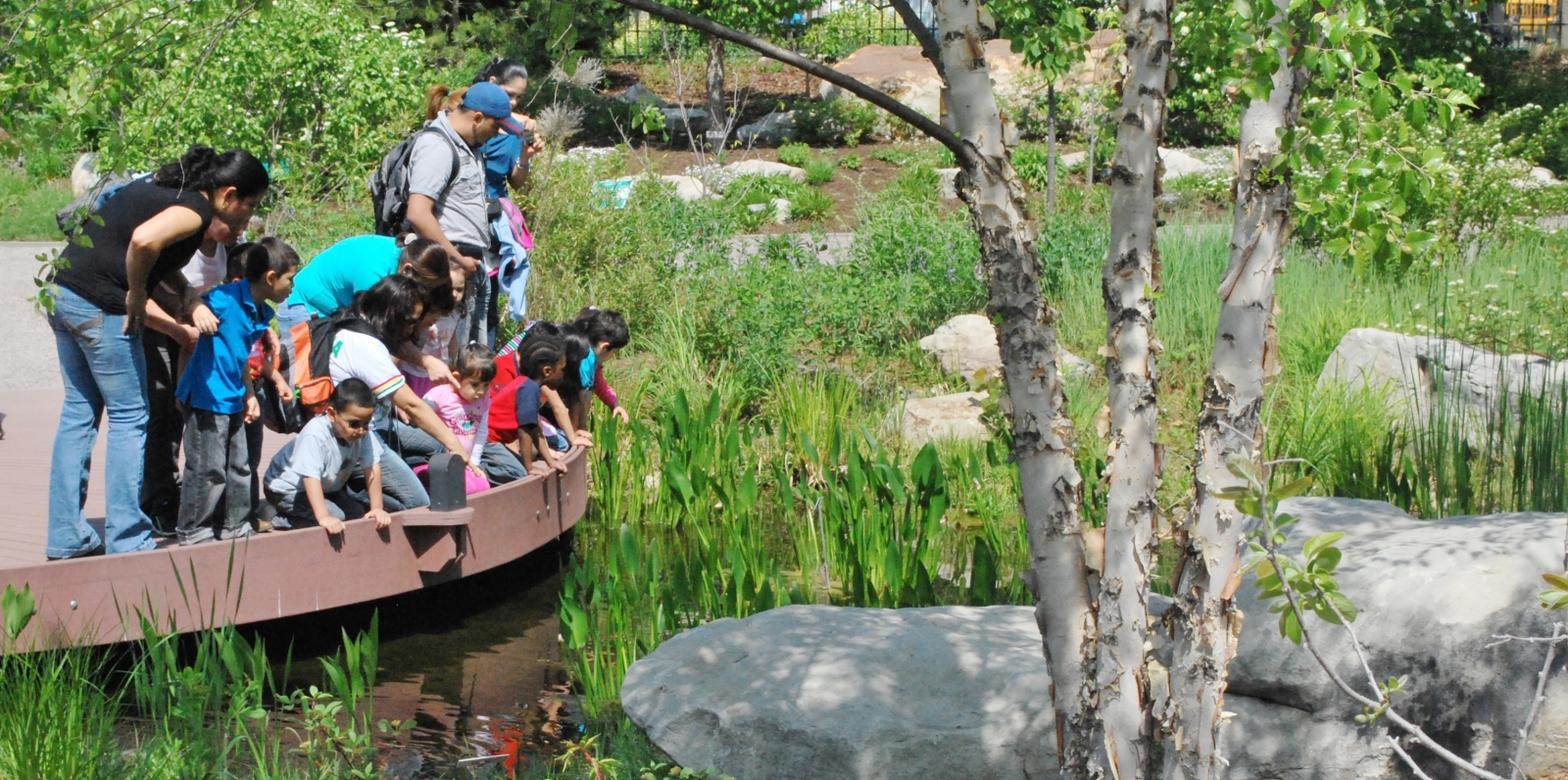 Children explore the plants and pond of the Regional Garden