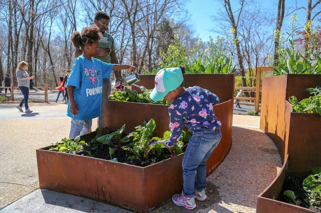 Two kids watering vegetables in planter boxes