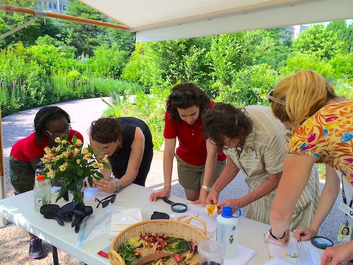 Plant education in action