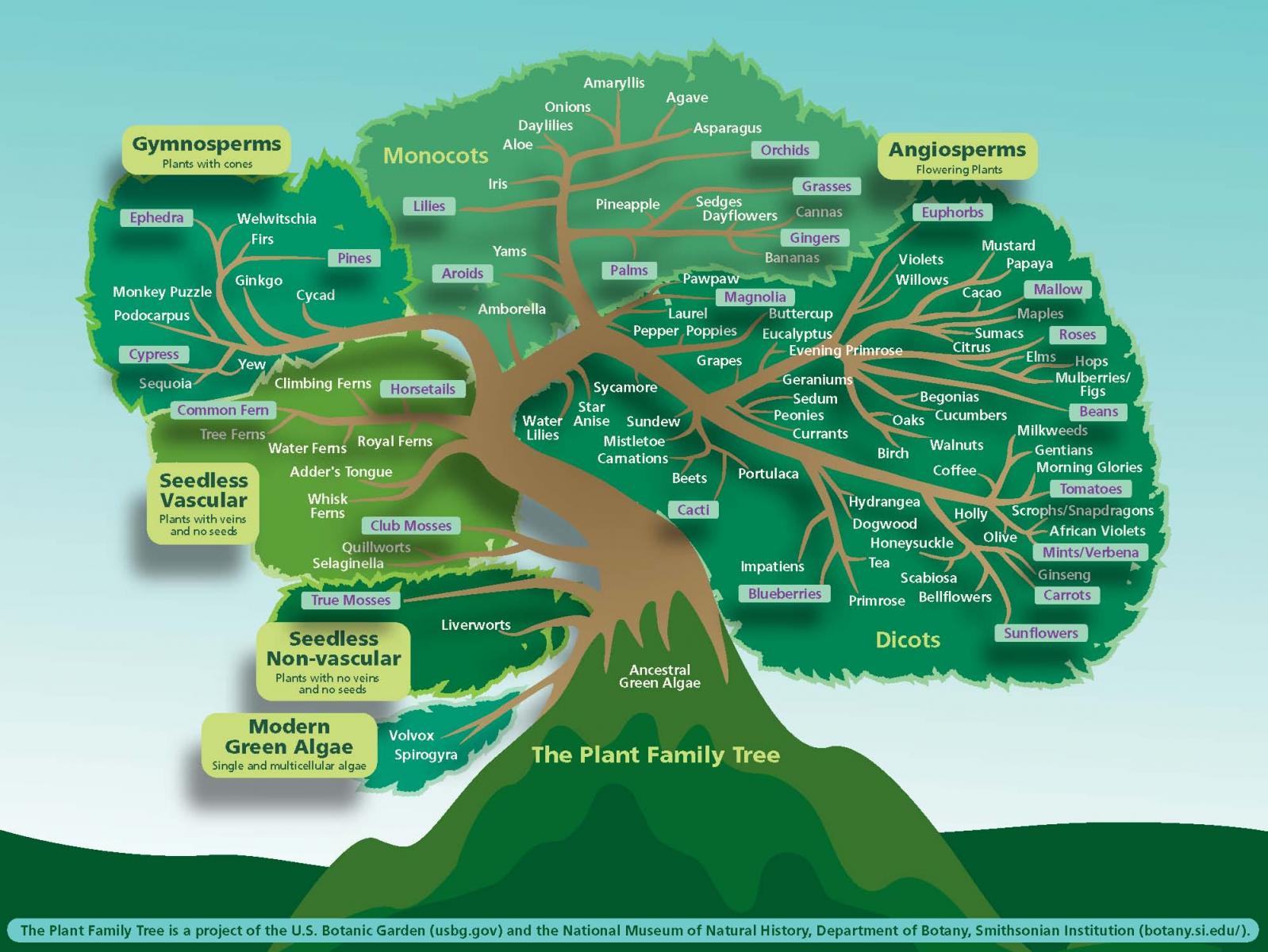 pdf understanding healthcare financial