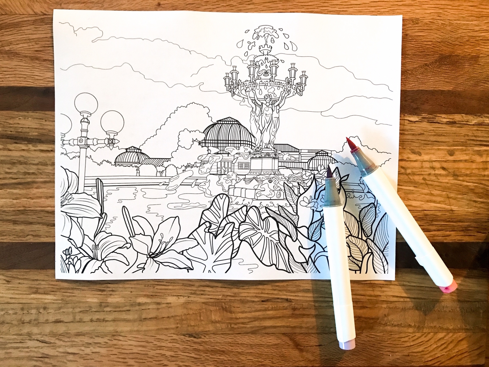 U.S. Botanic Garden coloring page by Becky Paxton