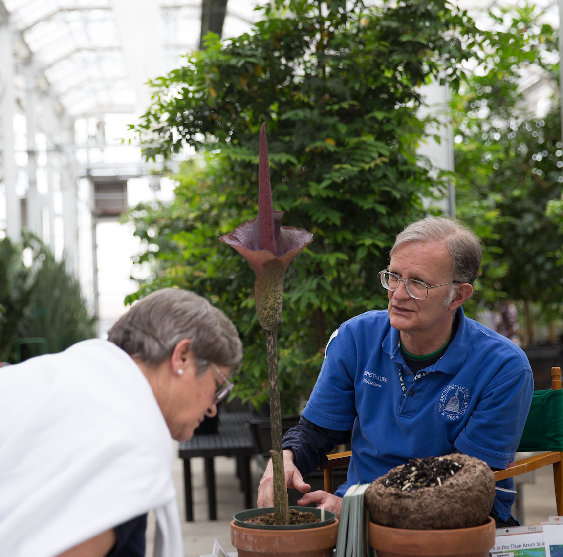 Volunteer Todd Brethauer shares a voodoo lily with a visitor
