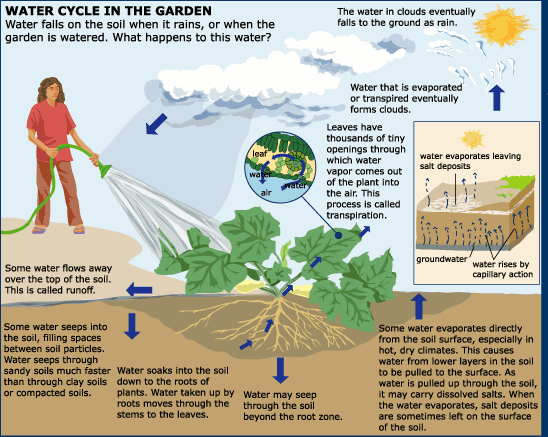 water cycle