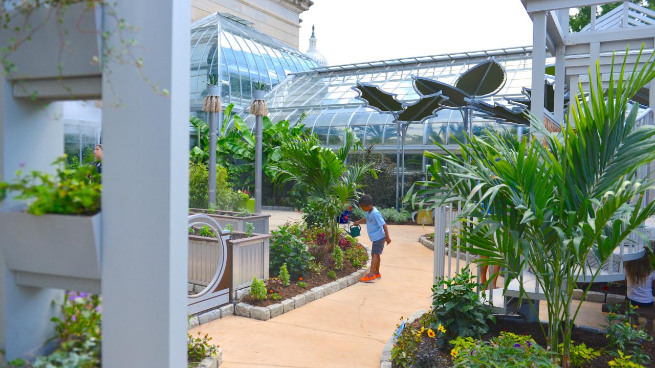 Child waters plants in the Children's Garden