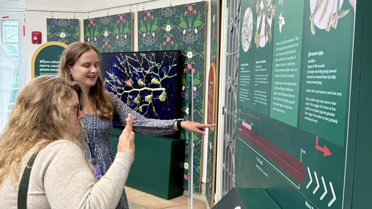 two young women tap a button to test the speed of their reaction against the speed of carnivorous plants