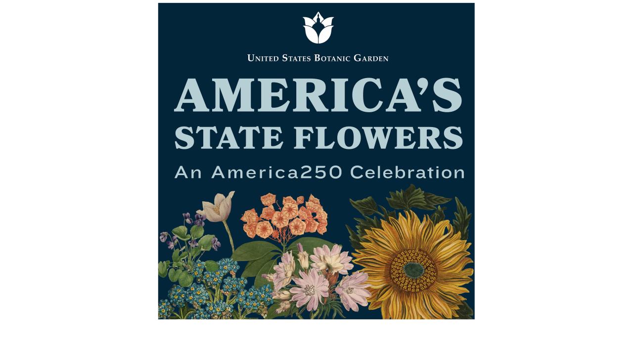 America's State Flowers: An America250 Celebration | United States Botanic  Garden