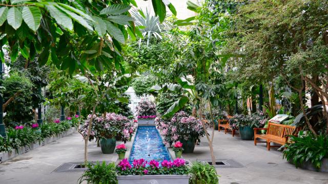 Conservatory Garden Court with a long pool and fountain and pink flowers surrounding