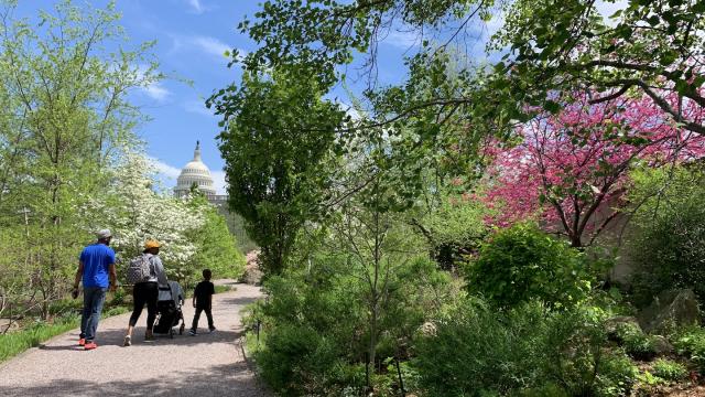 Three people walk down a path surrounded by shrubs and trees