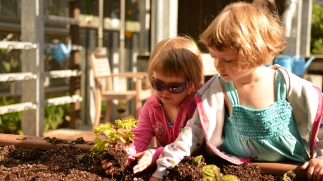 Two girls plant a green plant
