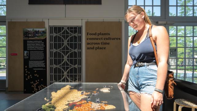 A visitor reads a map of grains of the world in Cultivate agriculture exhibit