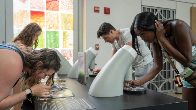 Visitors look into microscopes