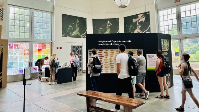Visitors walk through exhibits featuring varieties of corn