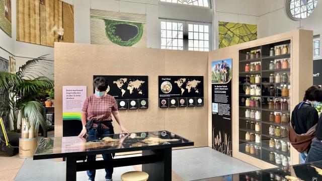 A visitor looks at a table showing grains of the world