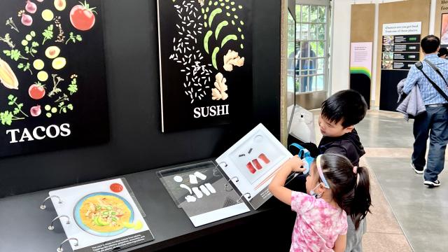 Two kids investigate recipe ingredients from plants