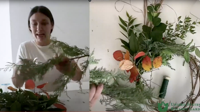 A woman holds plant cuttings, building a wreath