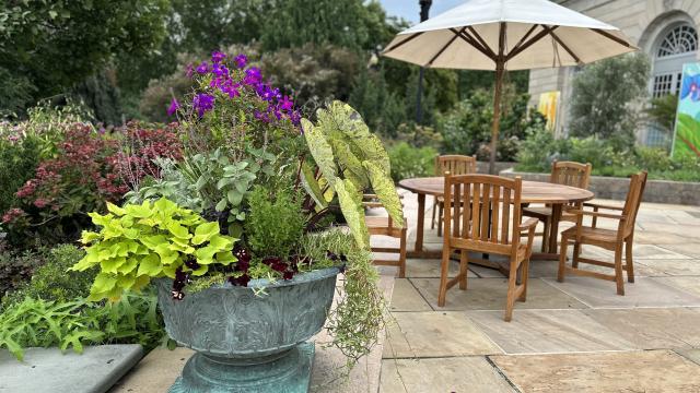 A terrace garden features a large urn full of plants in multiple colors of green, plus a wooden table and chairs with a canvas umbrella