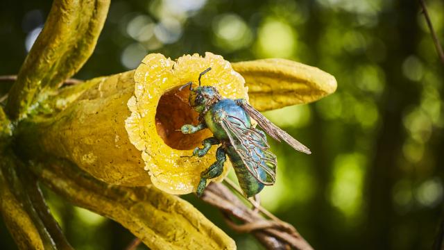 a sculpture made from plant parts shows a green-blue bee landing on a yellow vanilla orchid flower