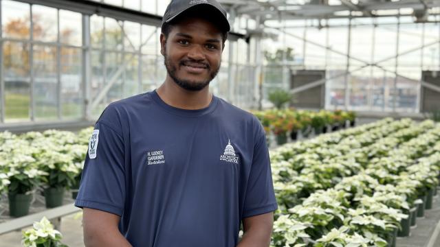 a young man stands in front of hundreds of green and cream colored poinsettia plants in a greenhouse