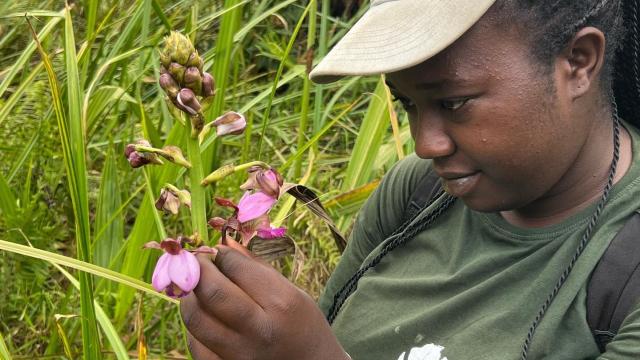 A girl wearing a cap inspects a pink flower while surrounded by tall green grass-like leaves