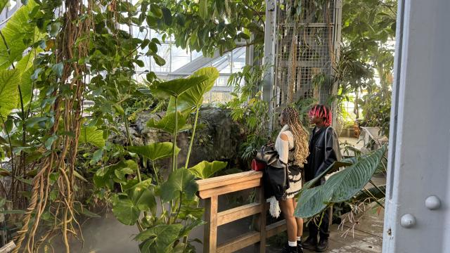 Two young women look at tropical plants in the U.S. Botanic Garden Conservatory