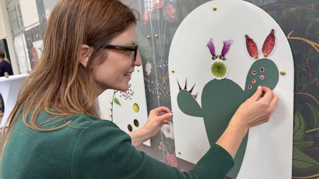 a woman places magnetic coffee beans images onto an image of a prickly pear plant