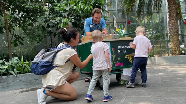 Three visitors, an adult woman and two children visit the "Discover Bees" cart, where a volunteer is educating about bees and their relationships to plants.