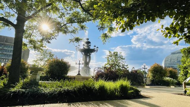 the sun shines through the leaves of a tall tree in a garden, with a large ornamental fountain behind