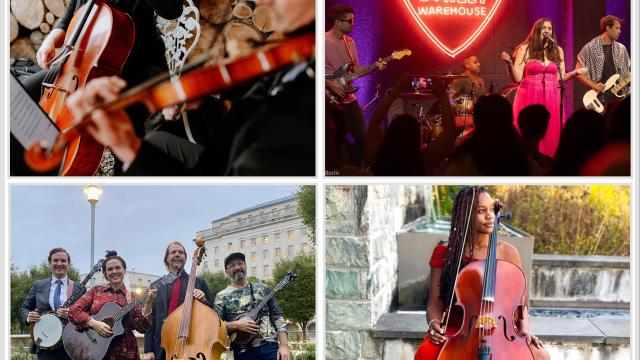 Collage of four images of people playing music on stringed instruments