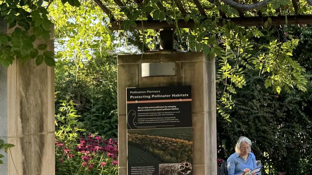 A visitor sits beside a sign about Protecting Pollinator Habitats in outdoor gardens