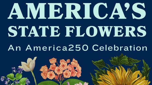 Text: America's State Flowers - An America250 Celebration with images of colorful flowers